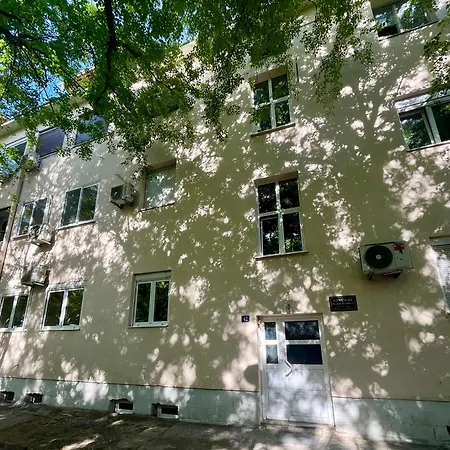 Oasis *
